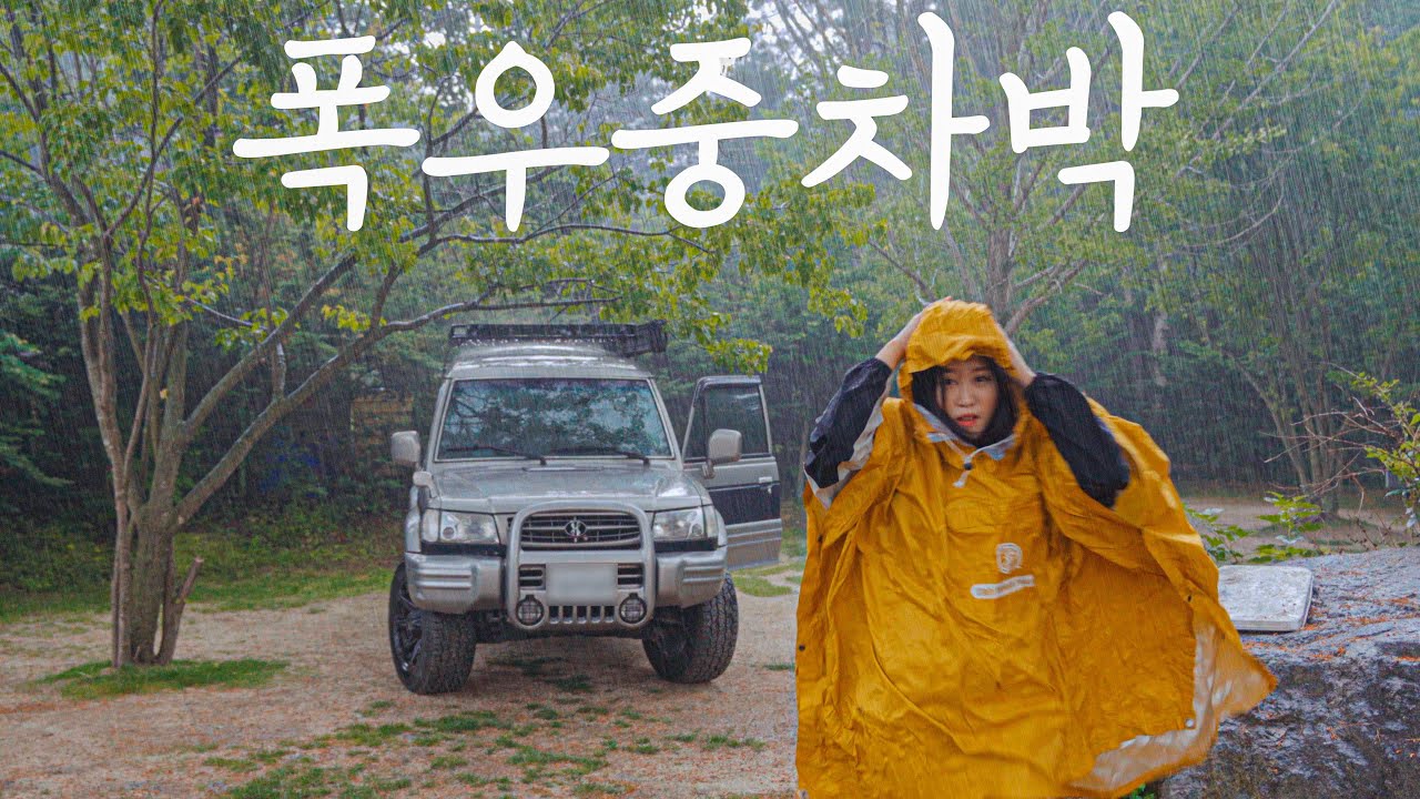 해발 500미터 고지에서 천둥 번개 폭우중차박 | 새소리 가득한 숲 속 나홀로 캠핑 | 포천 캠핑마을