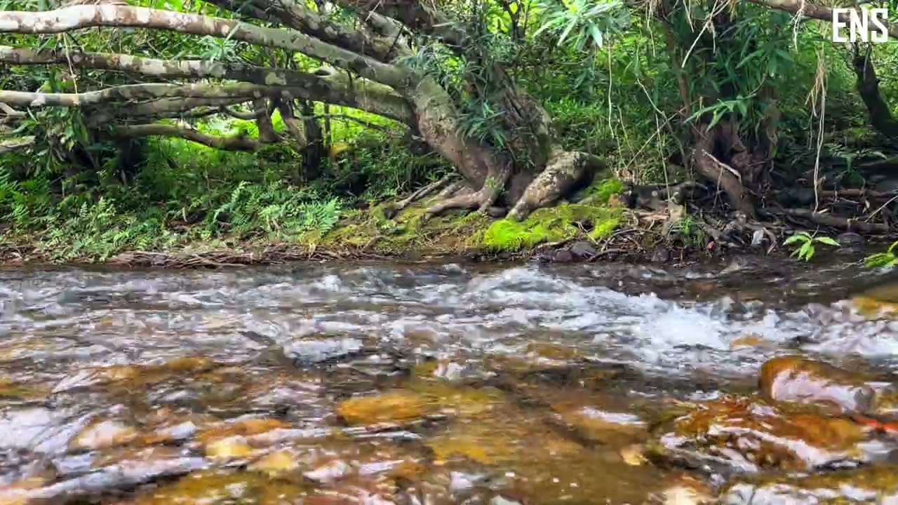 The pristine beauty of eternal nature