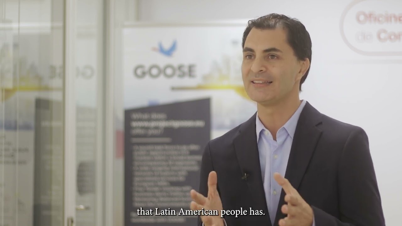 GOOSE Project - Generating international public procurement opportunities for European SMEs