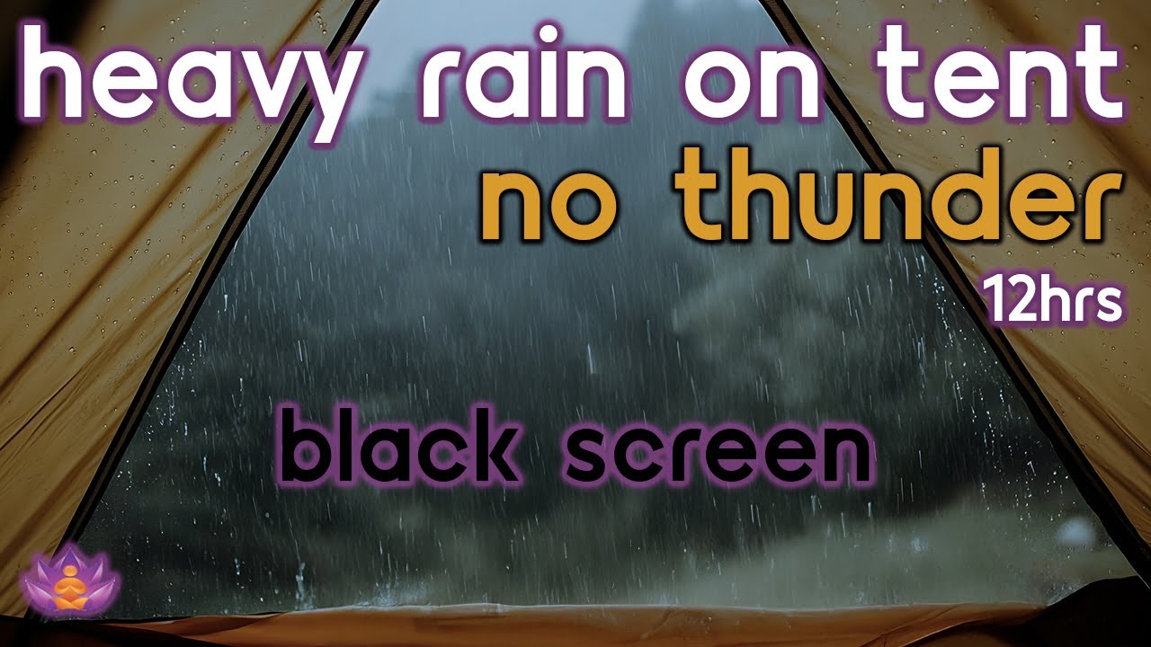 [Black Screen] Heavy Rain on Tent No Thunder | Rain Ambience | Rain Sounds for Sleeping
