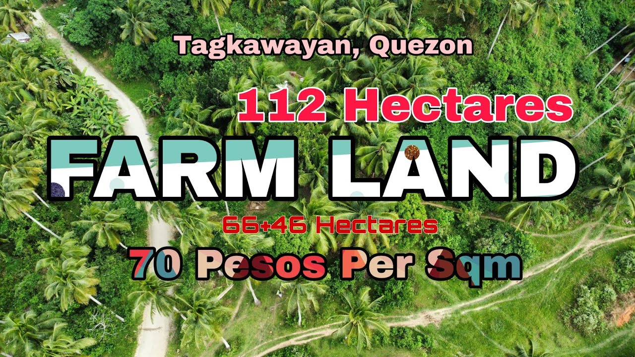 Lot #4 | 112 Hectares Farmland in Tagkawayan,Quezon / 70 pesos per Sqm 😲 Very Accessible 🌴🍀
