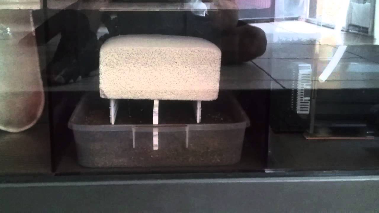 Refugium setup. Miracle Mud. Bio block.