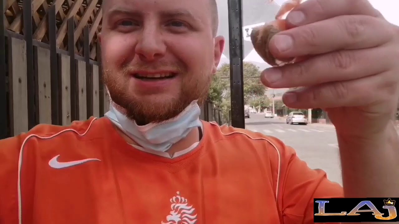 WeeD in Chile kaufen - Vlog