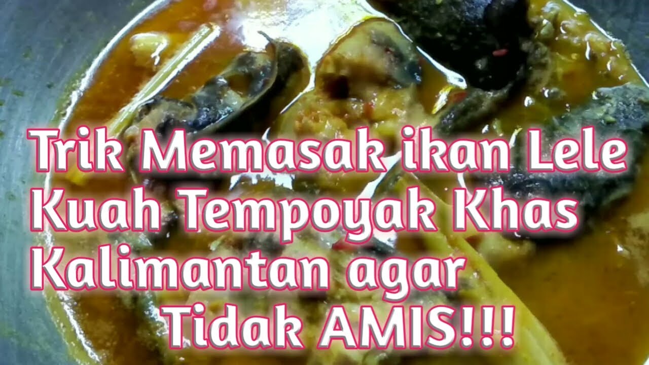 CARA MASAK  TEMPOYAK IKAN LELE TIDAK AMIS