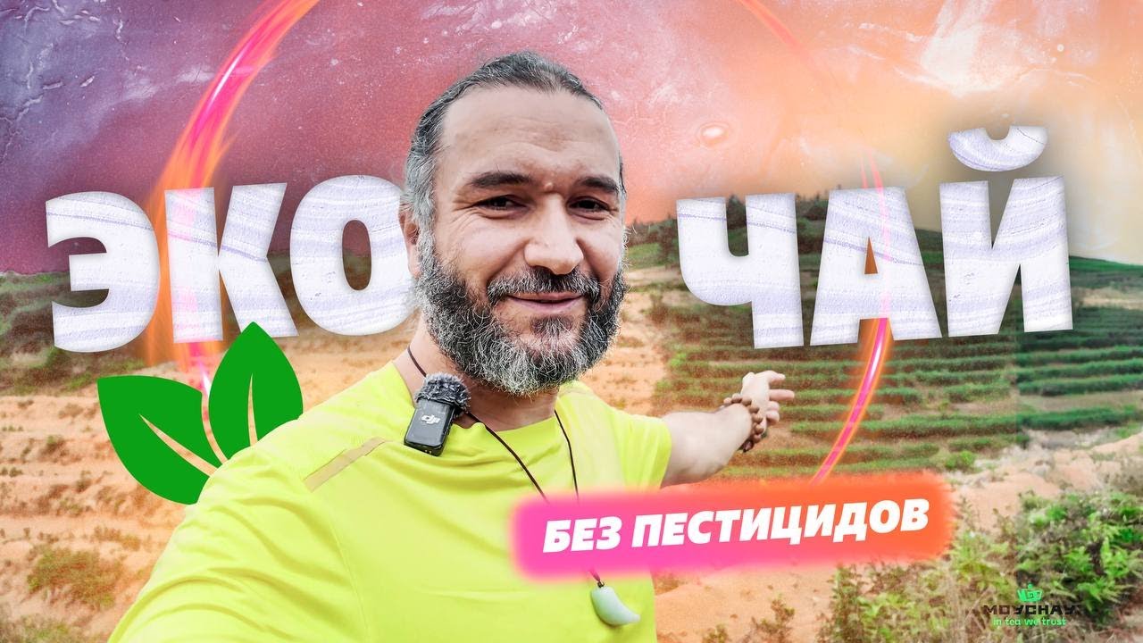 Самый экологически чистый чай в Китае? Изучаю плантации без пестицидов, пробую новый чай.