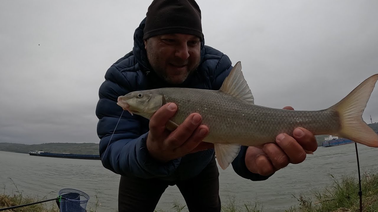 Pescuit la feeder pe Dunare, o ce toamna minunata :))