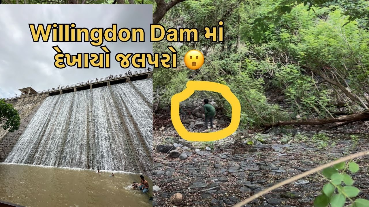 Willingdon Dam માં દેખાયો જલપરો 😮