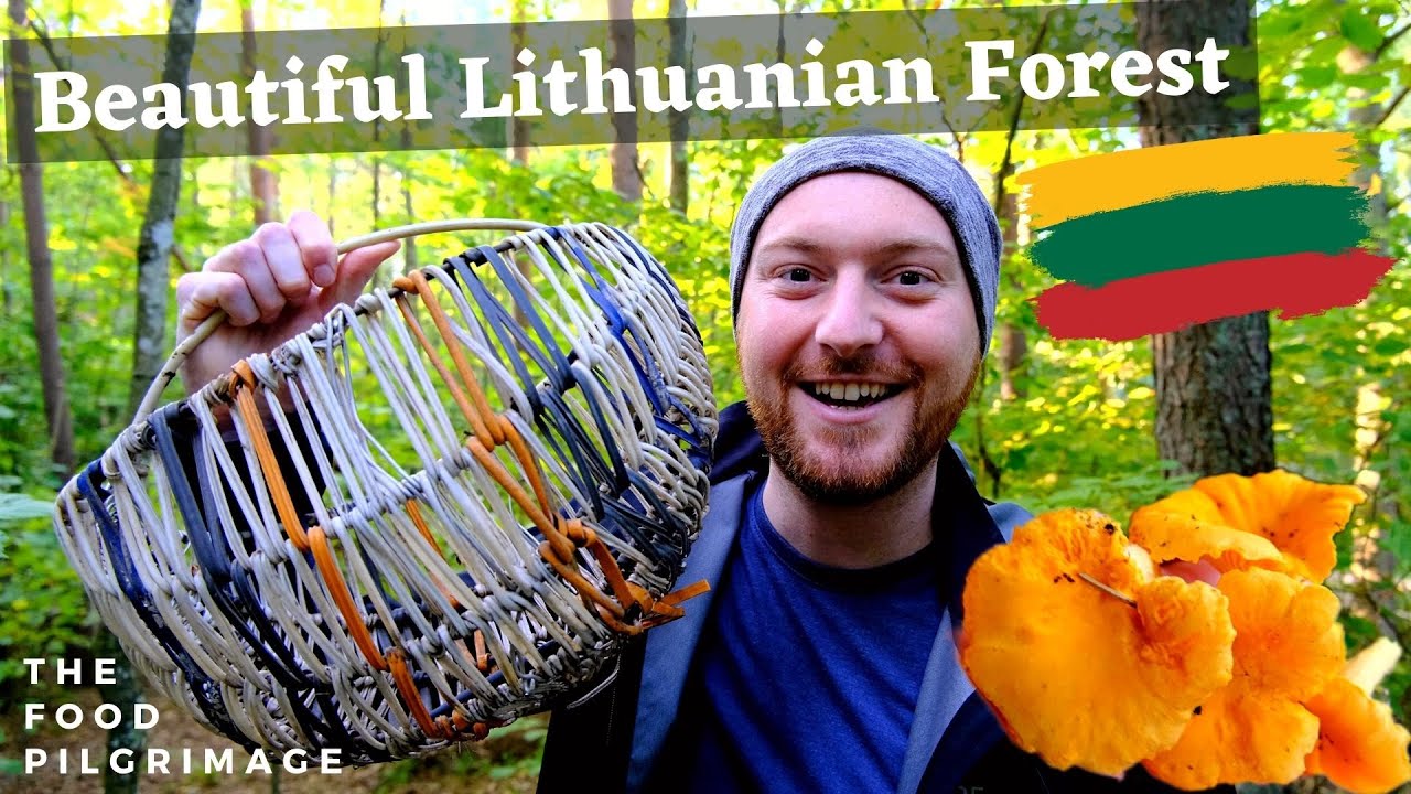 Wild Mushroom Hunting Deep in the Lithuanian Forest | Wild Mushroom Forest Adventure!