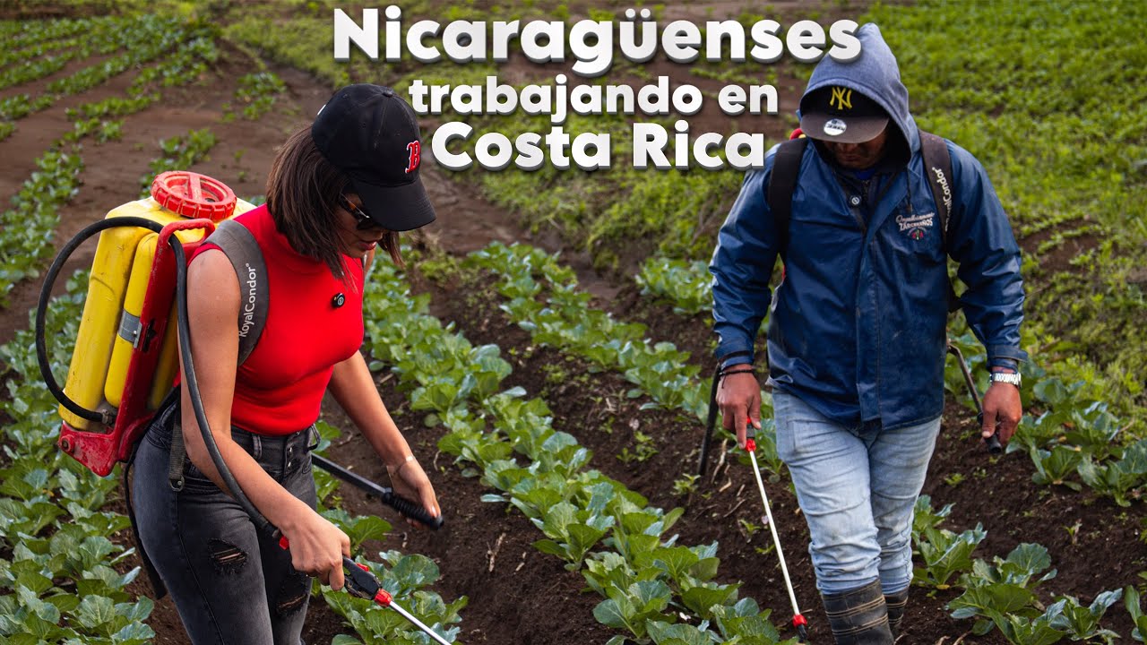 La vida de un Nicaragüense en Costa Rica | CAMPO