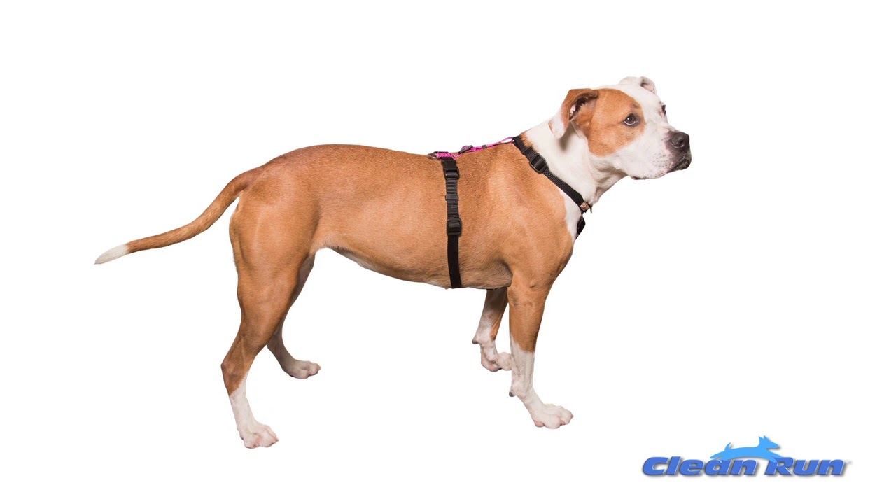 Overview: Balance Harness - Slip Over the Head Style