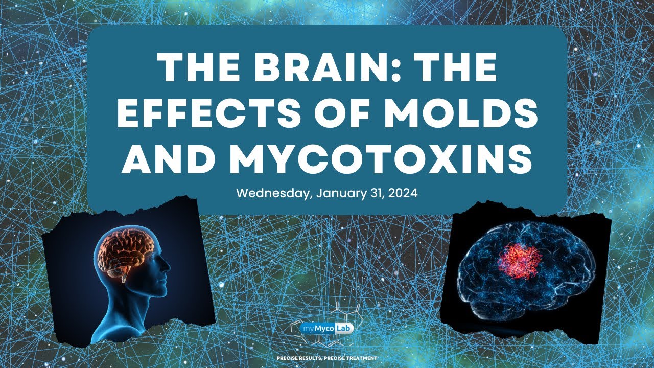 The Brain: The Effects of Molds and Mycotoxins