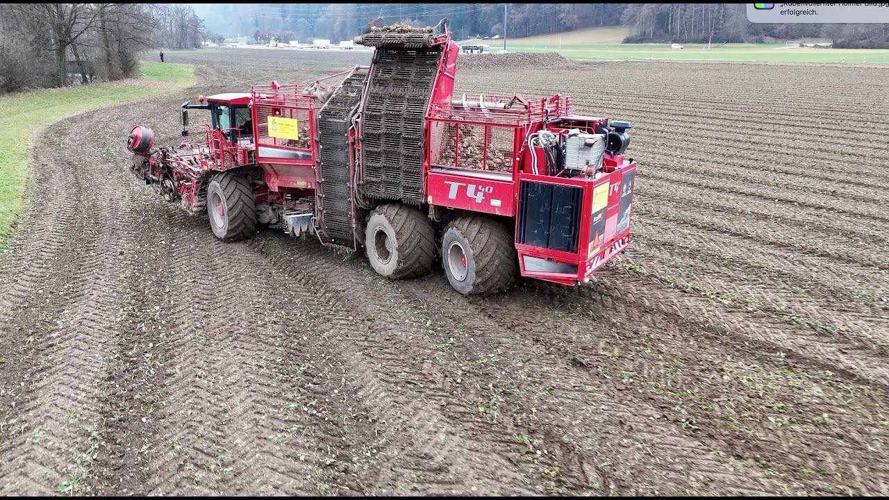 Rübenvollernter Holmer Terra Dos T4-40 im Einsatz für 🇨🇭 Rübenumschlag Mittelland 🇨🇭