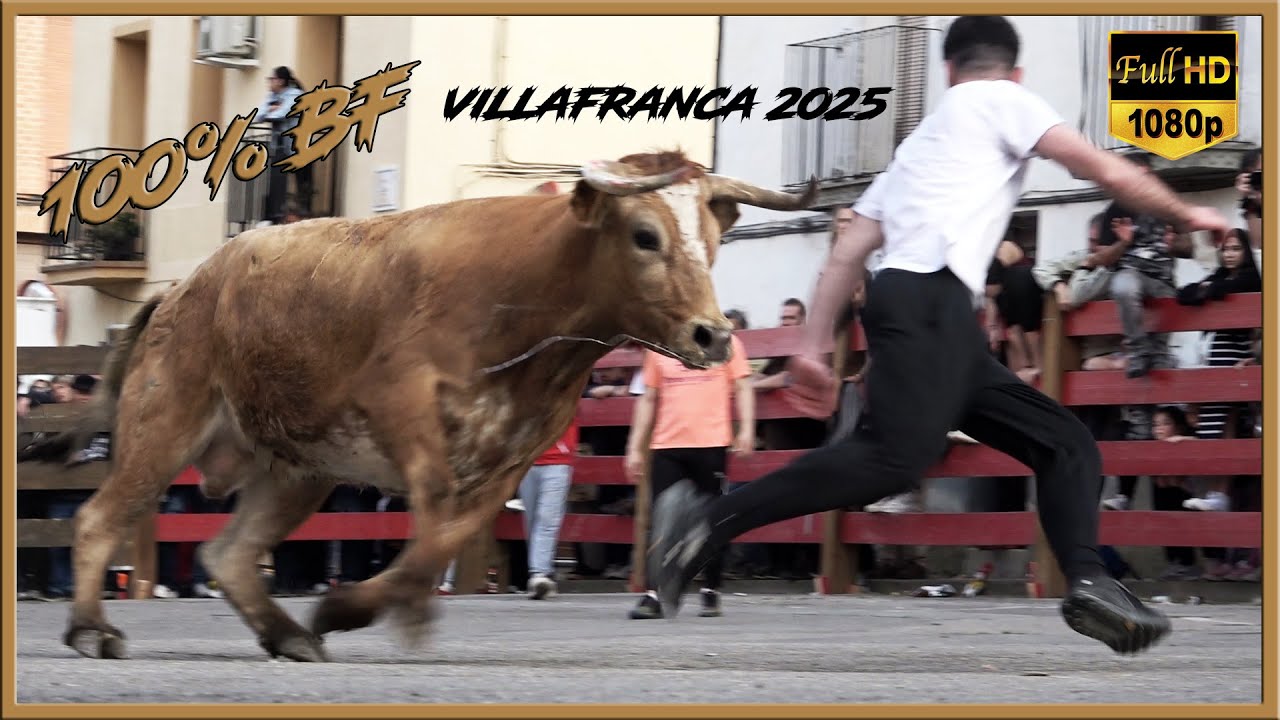 100% BF EN VILLAFRANCA (1-5-2025)