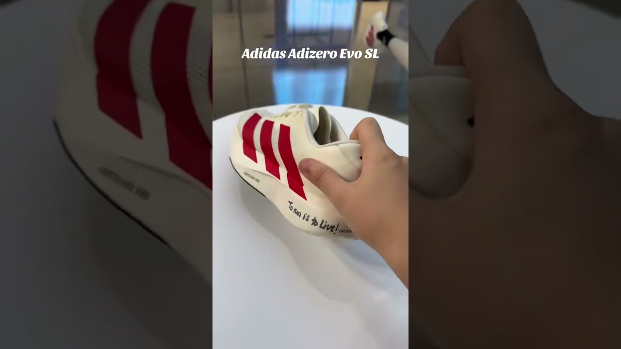 Adidas Adizero Evo SL #adidas #adizero