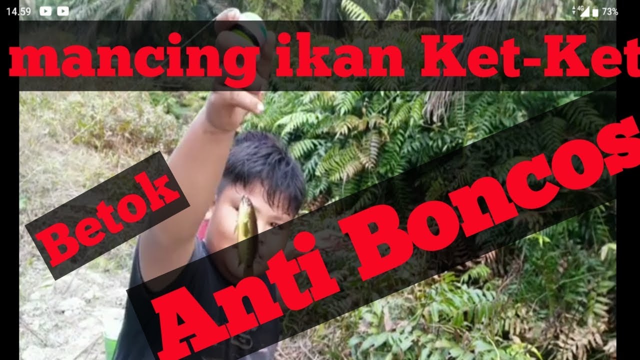 Mancing ikan Ket-Ket