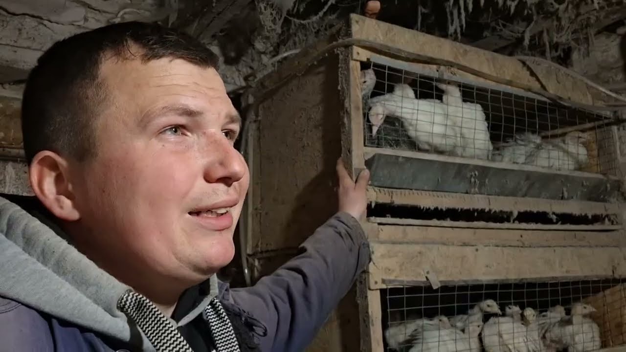 За два дні пропало все 😱 В два тижні виглядають на місяць 🤫