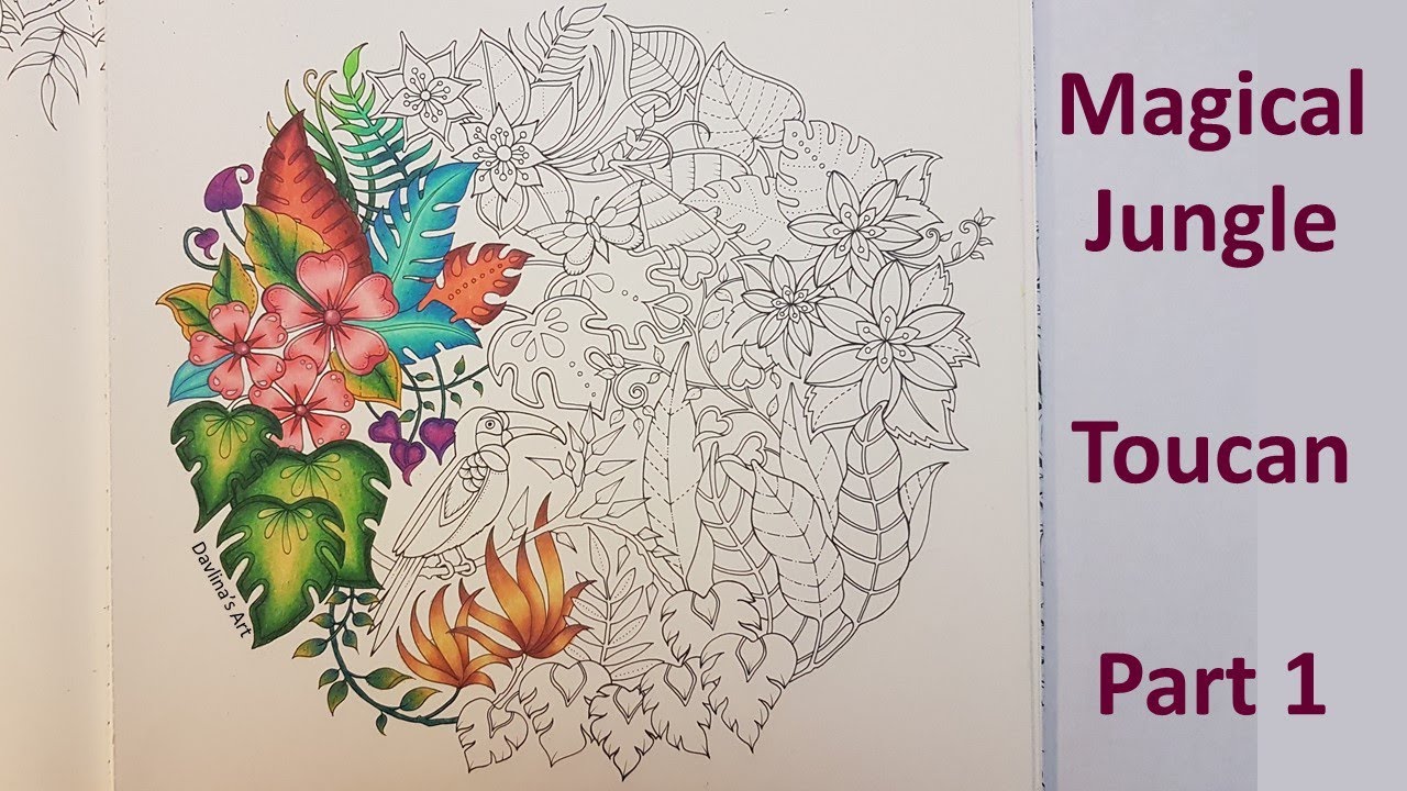 Toucan | Part 1 |  MAGICAL JUNGLE by Johanna Basford