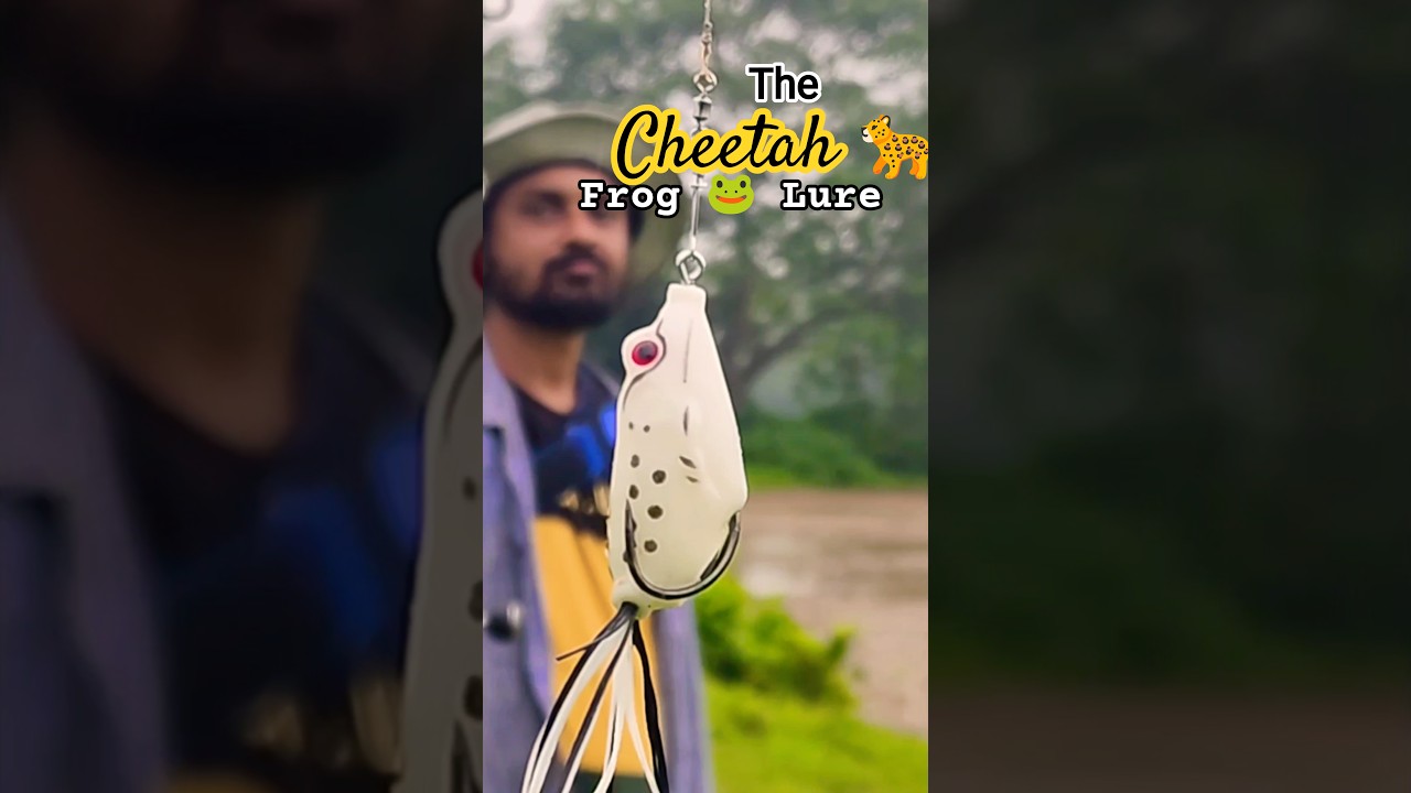 Flooded Pond Fishing with Cheetah Frog Lure &mdash; Epic Snakehead Hook!
