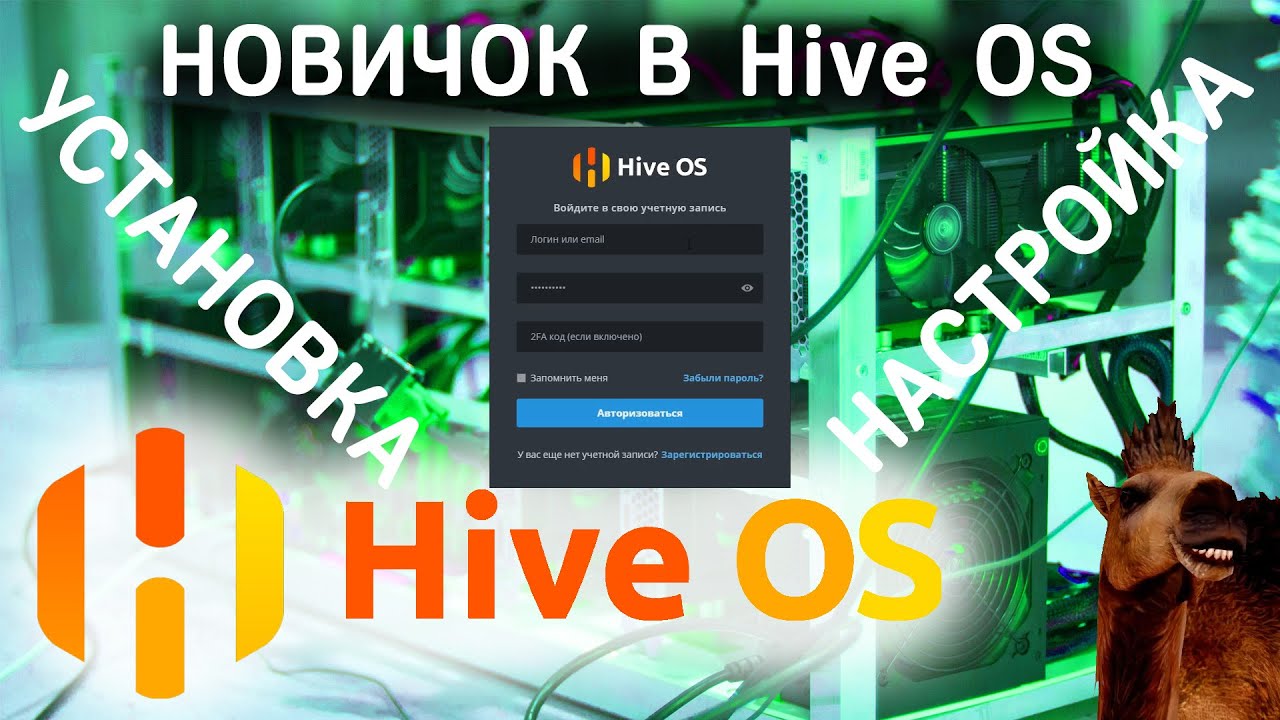 HiveOS для новичка, установка и настройка #hiveos