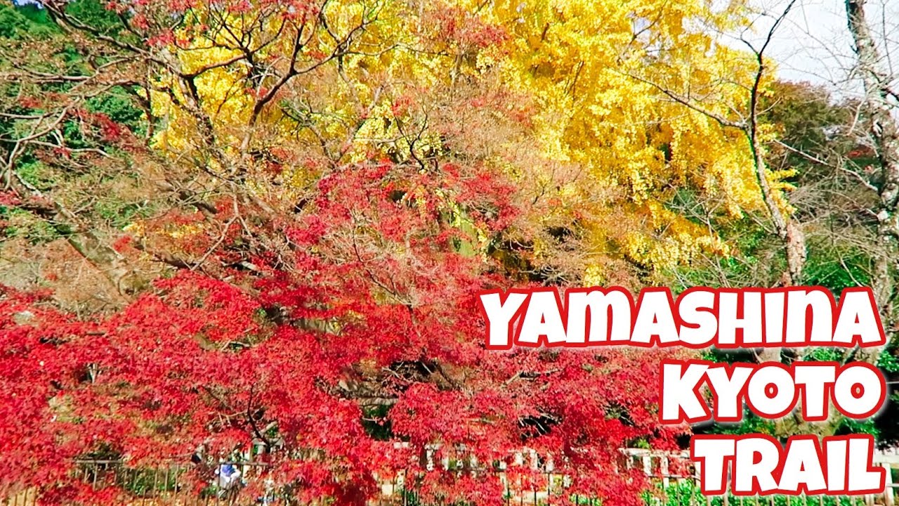 Hiking the Yamashina Trail in Kyoto, Japan