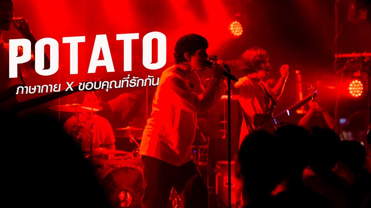 รวมเพลงเพราะๆ POTATO-ภาษากาย+ขอบคุณที่รักกัน+ยื้อ แสดงสด