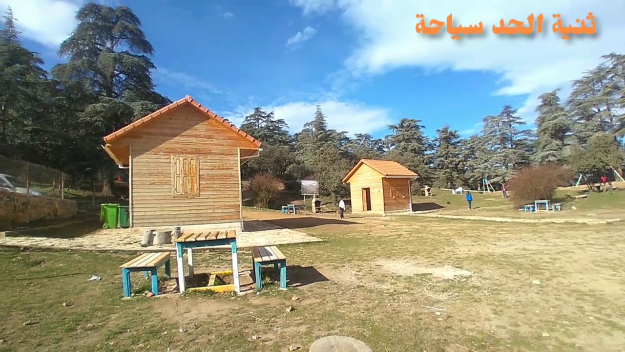 منظر جانبي  من الحظيرة الوطنية لغابة المداد بثنية الحد..😍❄🌞🚵&zwj;♀️🏃&zwj;♂️