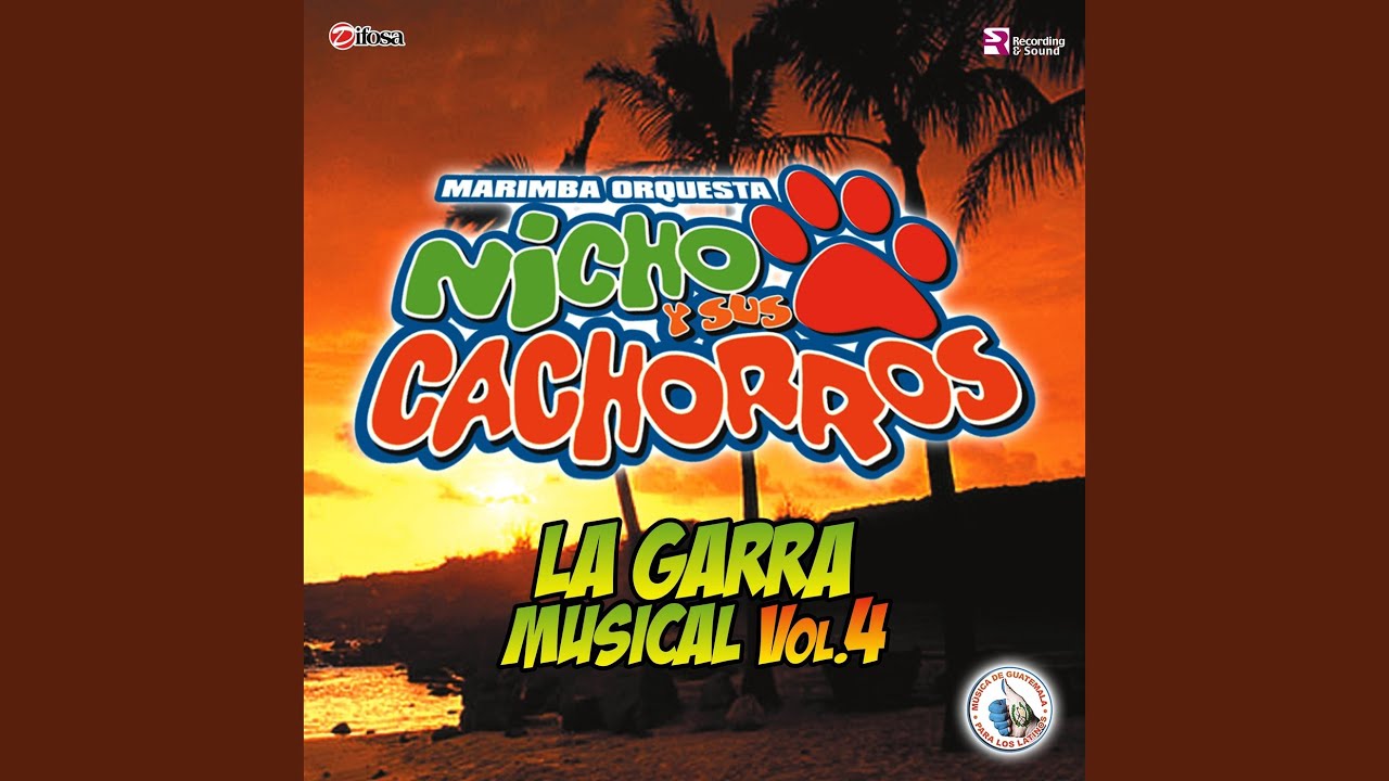 Mix Cachorros 8: Muchachita / Doce Rosas / Entrégate Toda