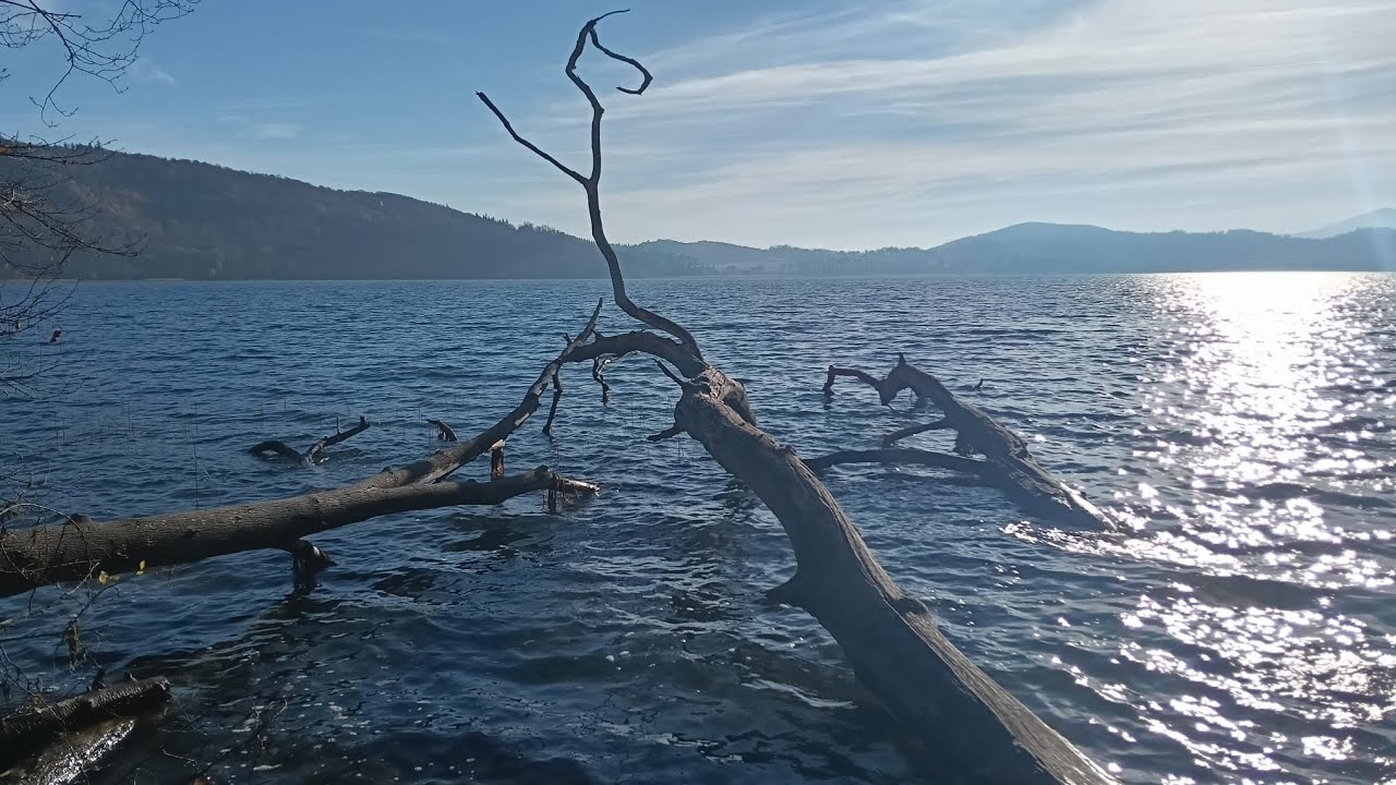 Die Runde um den Laacher See der Vulkan See in der Eifel 