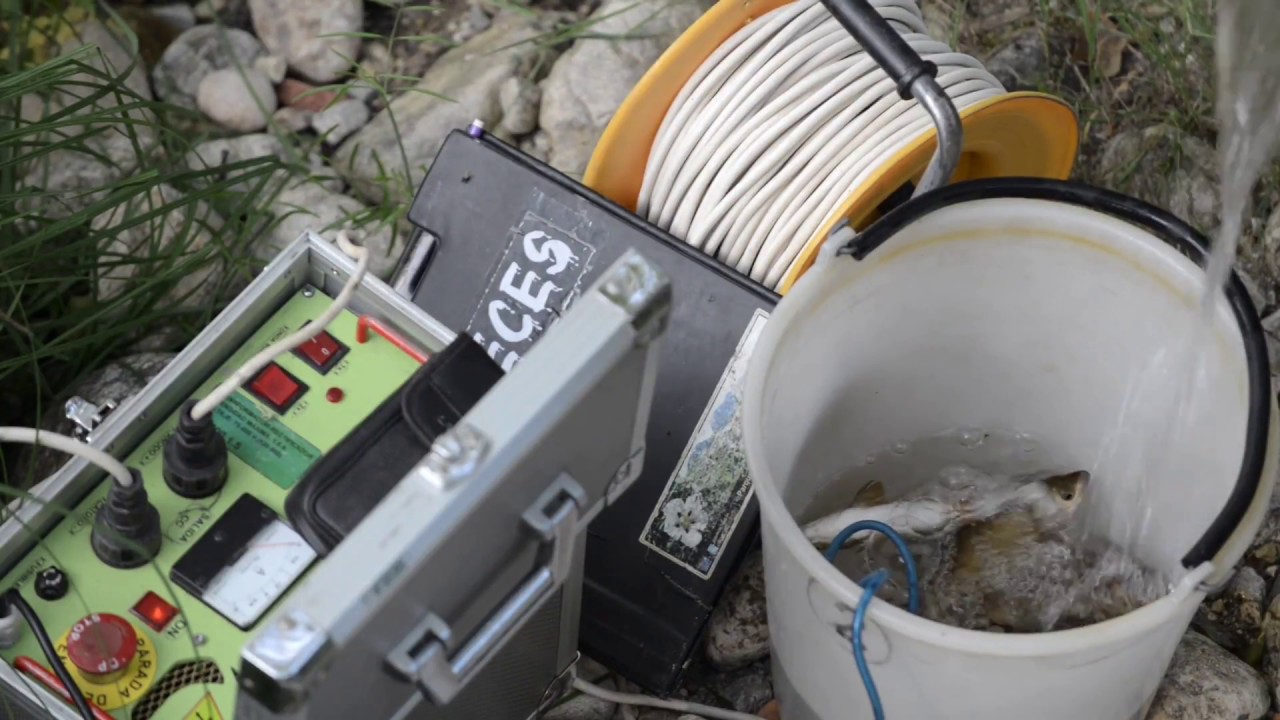 Pesca Electrica