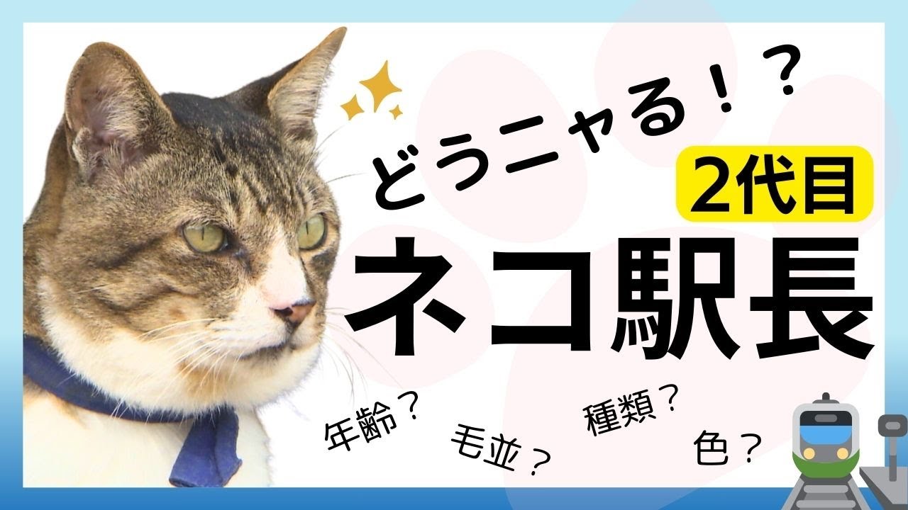 ２代目ネコ駅長はどうなる？　広島・芸備線