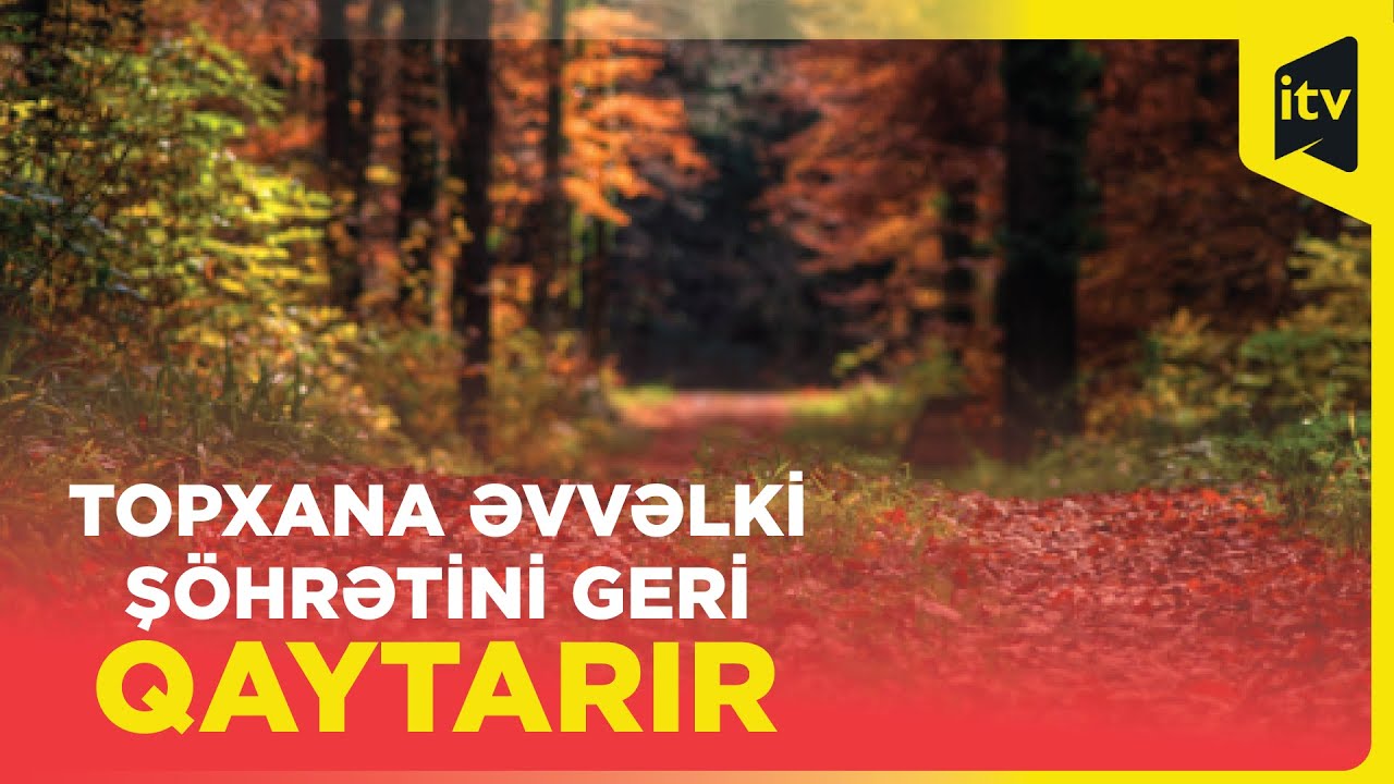 Topxana meşəsi bərpa edilir