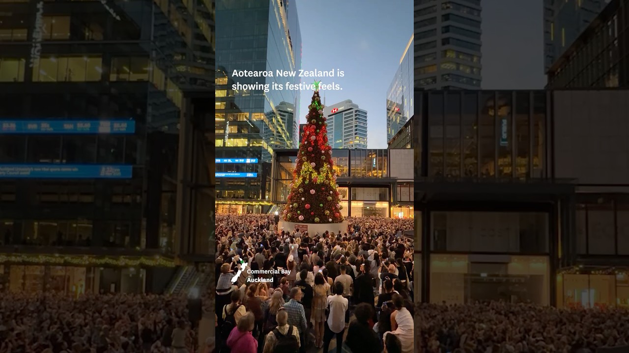 It's almost Christmas in New Zealand!