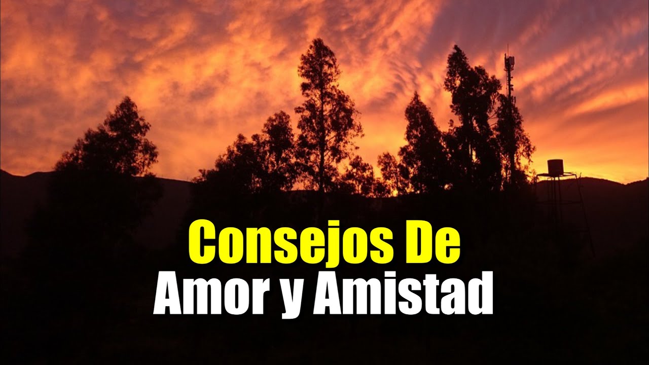Los Mejores Consejos De Amor y Amistad &brvbar; Gratitud, Frases, Reflexiones, Versos, Reflexi&oacute;n