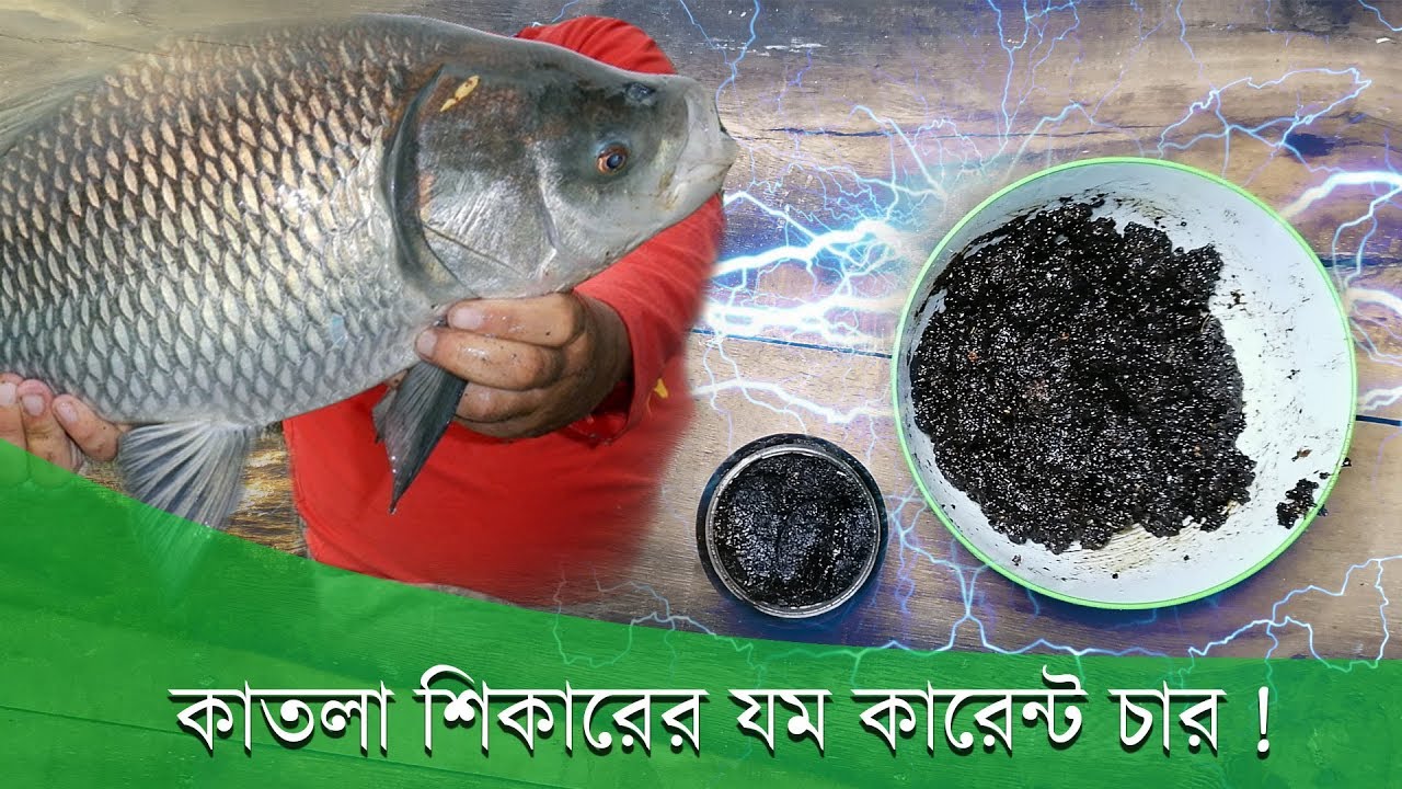 বড় রুই কাতলা মাছ ধরার কারেন্ট চার Amazing Current Char Rohu Catla Mrigle Ground Bait Fishing Video