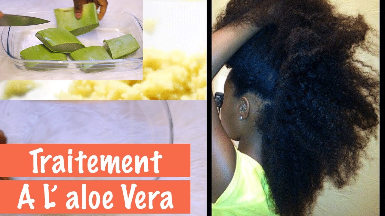 L' aloe Vera Pour Faire pousser Les Cheveux | Ritini
