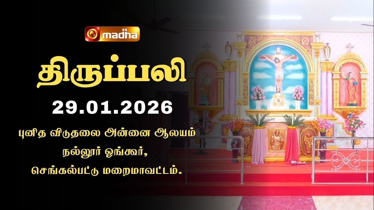HOLY MASS TAMIL | 29 JANUARY 2026 | YEAR A | 6:00 AM | CHENGALPATTU | @madhatelevision​