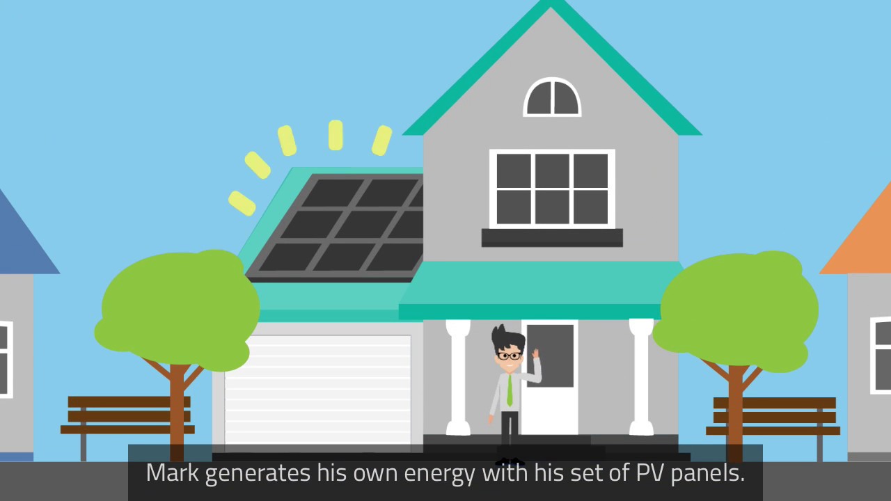 Sustainable energy prosumers