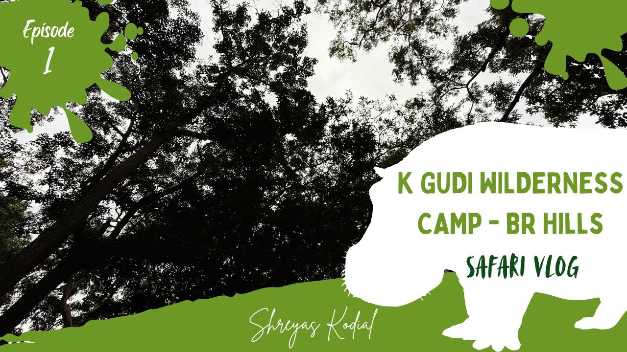 Deep in the Jungle: K Gudi Wilderness Camp Stay & Wildlife Safari (Bengaluru to BR Hills)