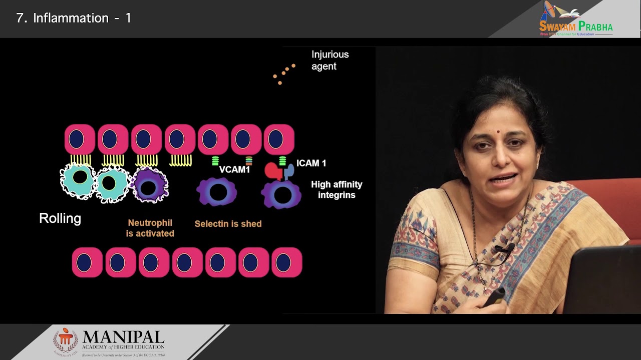 Inflammation-1