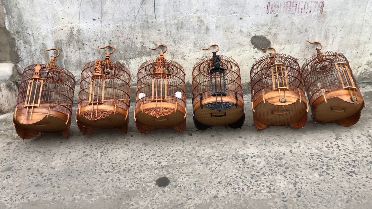 6 kiểu lồng kiếm nu&ocirc;i chim Hoạ Mi & Cho&egrave; Than & Khướu đẹp lạ l&ugrave;ng đẹp d&atilde; man đẹp lồng lộn nha qu&yacute; vị
