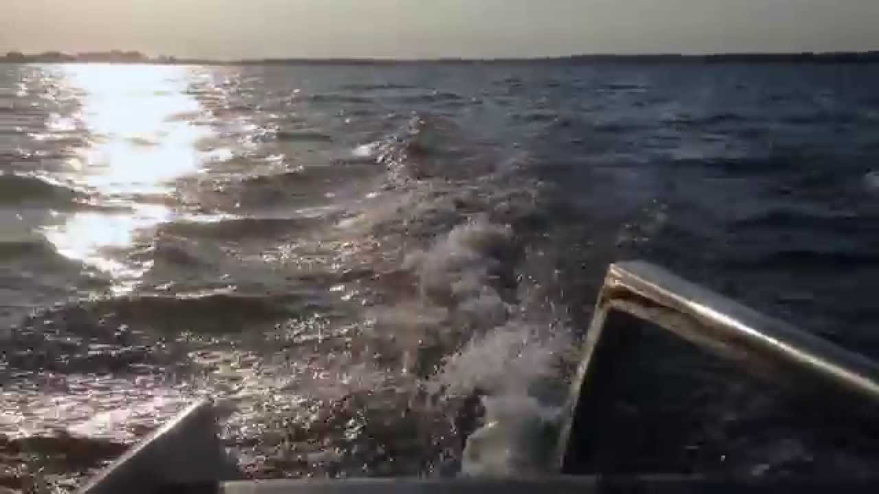 PasoDoble Pandora 8.50 Sunset Cruising