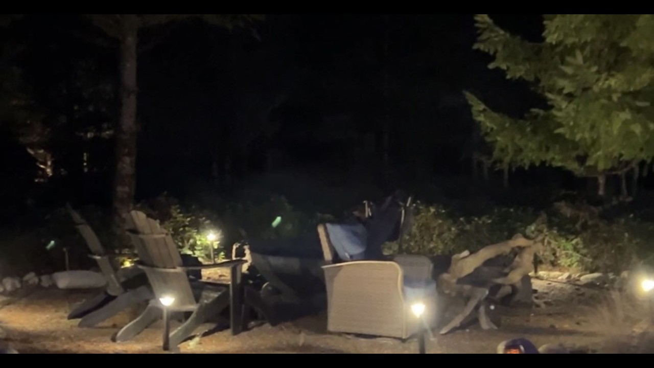 Light Every Step with Ring Pathlight- Battery Powered