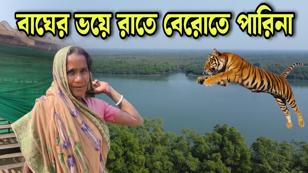 বাঘের ভয়ে রাতে বেরোতে পারিনা 😱//tiger attack in Sundarban