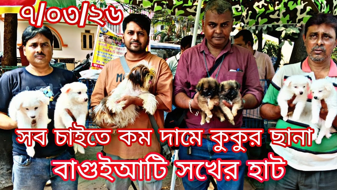 সব চাইতে কম দামে কুকুর ছানা ll বাগুইআটি সখের হাট ll ৭/০৩/২৬#baguihati#dogmarketkolkata 