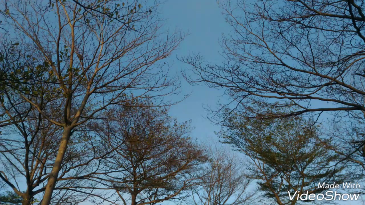 《生命聖詩》256求主保守聖僕