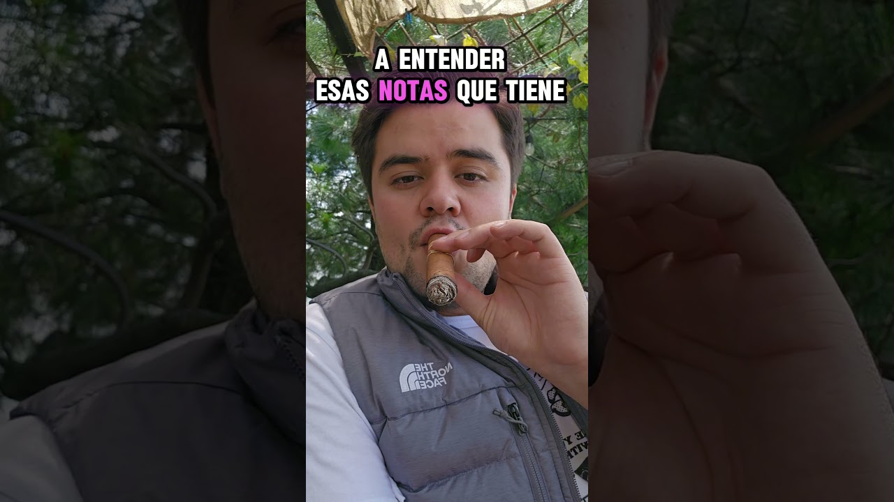 COMO CATAR UN PURO !! 🎩🎩🚬🚬 #entretenimiento #mexico #puros#habanos#elegancia