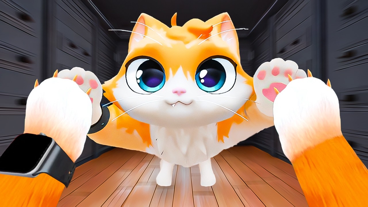 YİNE KEDİ OLDUM... - iplusd VR