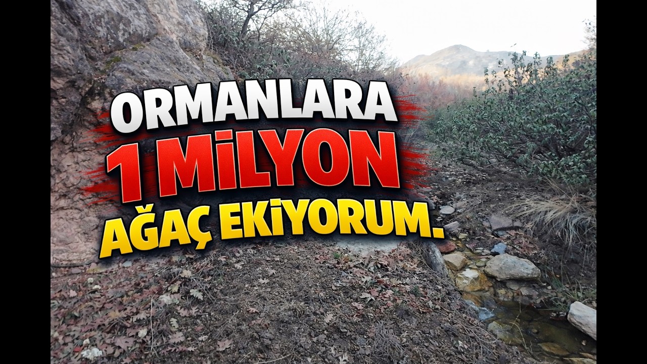 ORMANLARA 1 MİLYON AĞAÇ EKİYORUM! 1 Mala, 1 Çapa