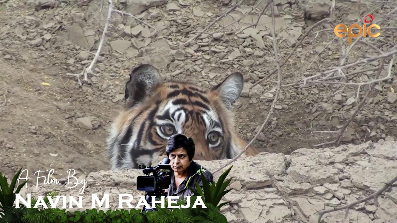A FISH OF DREAMS (MACHLI)- WILDERNESS DAYS 2020 - ENGLISH