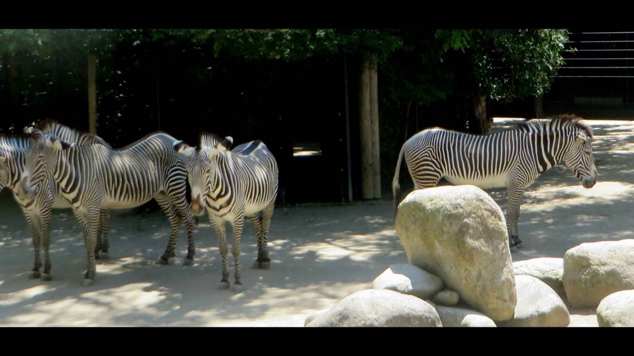 Wilhelma Zoo Stuttgart